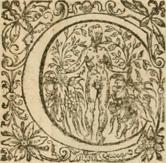 An illustration from La doctrine des murs, tiree de la philosophie des stoiques, representee en cent tableaux et expliquee en cent discours pour l'instruction de la ieunesse, 1646, leaf 203
