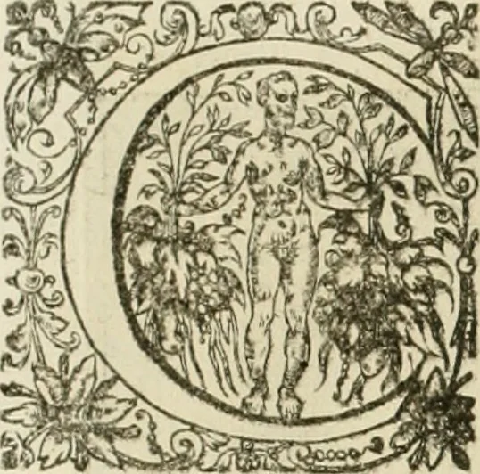 An illustration from La doctrine des murs, tiree de la philosophie des stoiques, representee en cent tableaux et expliquee en cent discours pour l'instruction de la ieunesse, 1646, leaf 225
