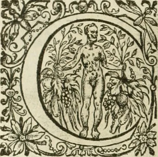 An illustration from La doctrine des murs, tiree de la philosophie des stoiques, representee en cent tableaux et expliquee en cent discours pour l'instruction de la ieunesse, 1646, leaf 79