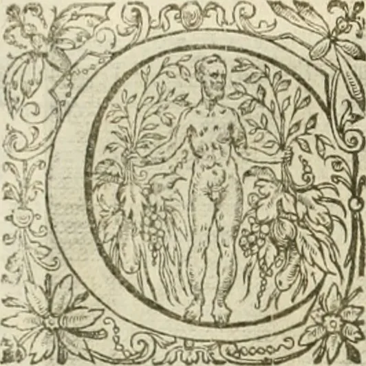 An illustration from La doctrine des murs, tiree de la philosophie des stoiques, representee en cent tableaux et expliquee en cent discours pour l'instruction de la ieunesse, 1646, leaf 87