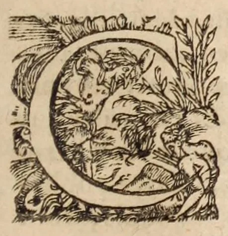 An illustration from La doctrine des Vaudois, 1618, leaf 17