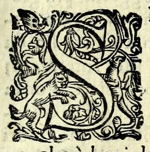 An illustration from La donna costante : comedia, 1589, leaf 5