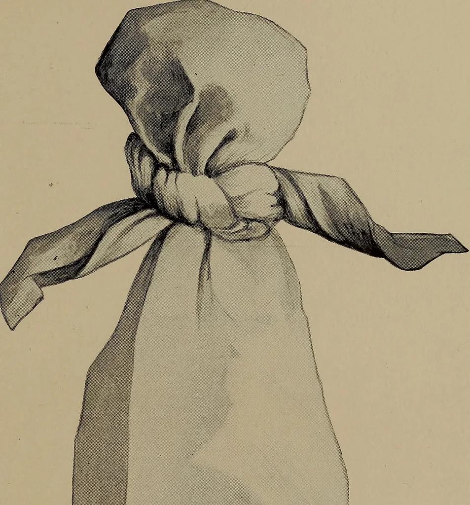 An illustration from Lady Hollyhock and her friends; a book of nature dolls and others, 1906, leaf 114