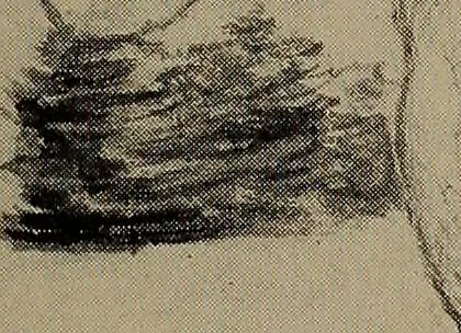 An illustration from Lady Hollyhock and her friends; a book of nature dolls and others, 1906, leaf 122