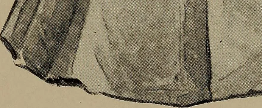 An illustration from Lady Hollyhock and her friends; a book of nature dolls and others, 1906, leaf 44