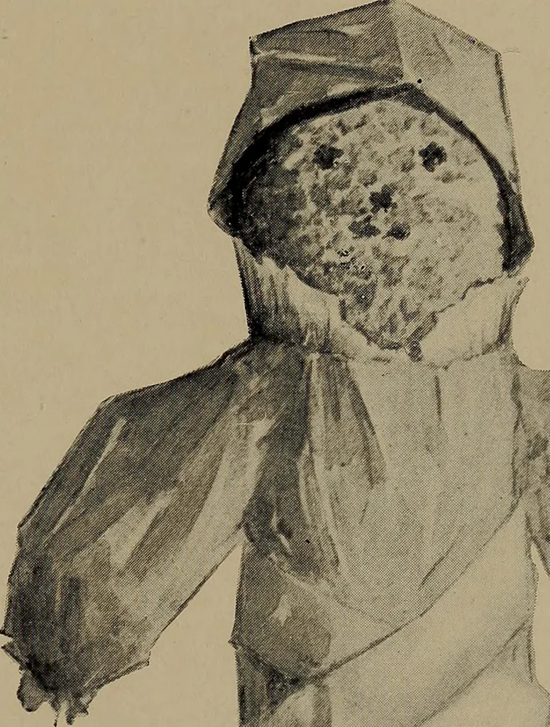 An illustration from Lady Hollyhock and her friends; a book of nature dolls and others, 1906, leaf 56
