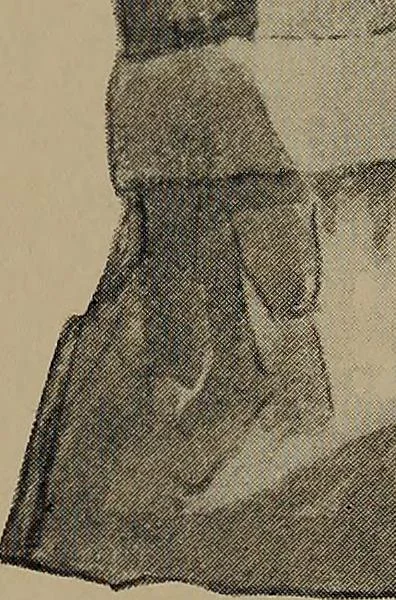 An illustration from Lady Hollyhock and her friends; a book of nature dolls and others, 1906, leaf 56