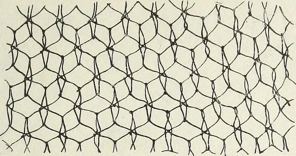 An illustration from The lady's assistant for executing useful and fancy designs in knitting, netting and crochet work..., 1847, leaf 10