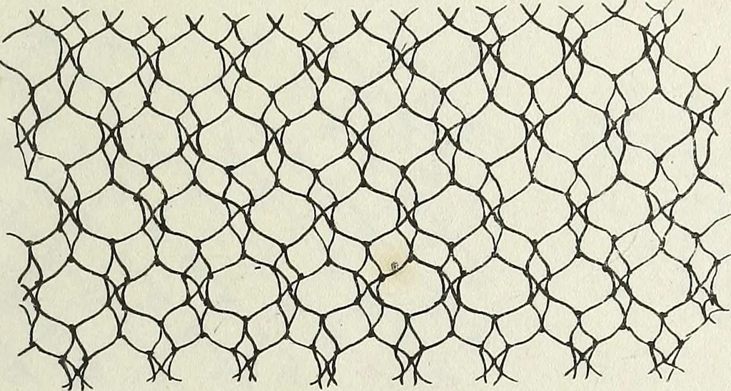 An illustration from The lady's assistant for executing useful and fancy designs in knitting, netting and crochet work..., 1847, leaf 10