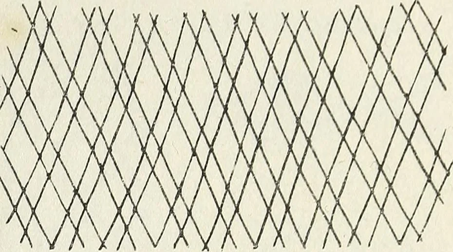 An illustration from The lady's assistant for executing useful and fancy designs in knitting, netting and crochet work..., 1847, leaf 10