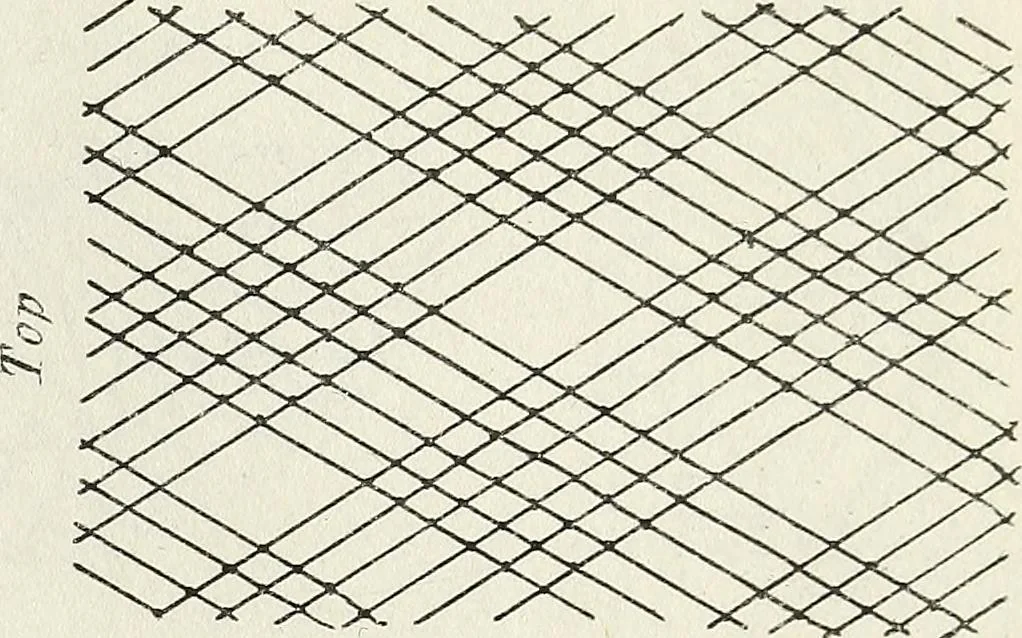 An illustration from The lady's assistant for executing useful and fancy designs in knitting, netting and crochet work..., 1847, leaf 10