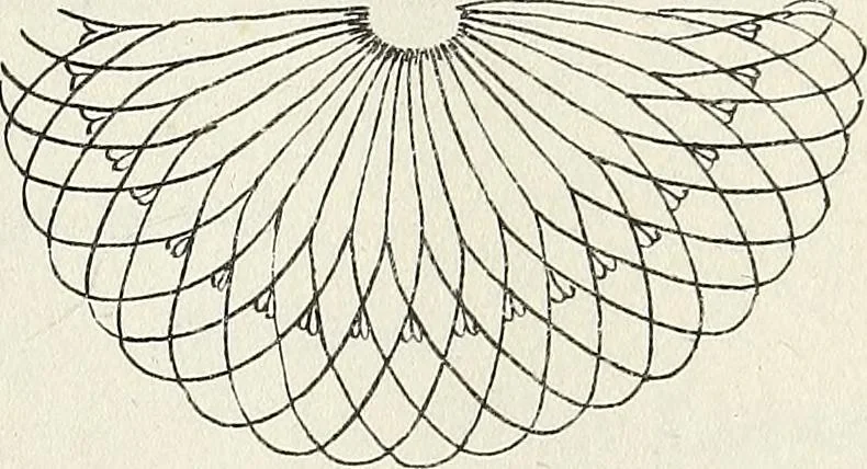 An illustration from The lady's assistant for executing useful and fancy designs in knitting, netting and crochet work..., 1847, leaf 12