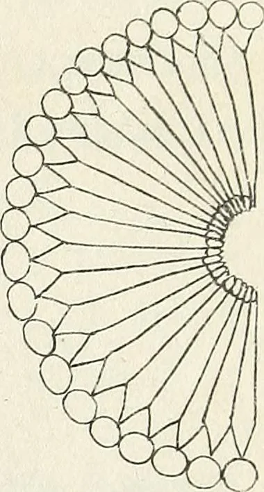 An illustration from The lady's assistant for executing useful and fancy designs in knitting, netting and crochet work..., 1847, leaf 12