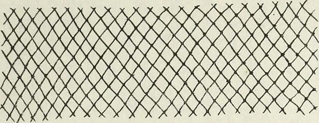 An illustration from The lady's assistant for executing useful and fancy designs in knitting, netting and crochet work..., 1847, leaf 8
