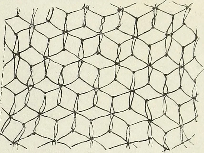 An illustration from The lady's assistant for executing useful and fancy designs in knitting, netting and crochet work..., 1847, leaf 8