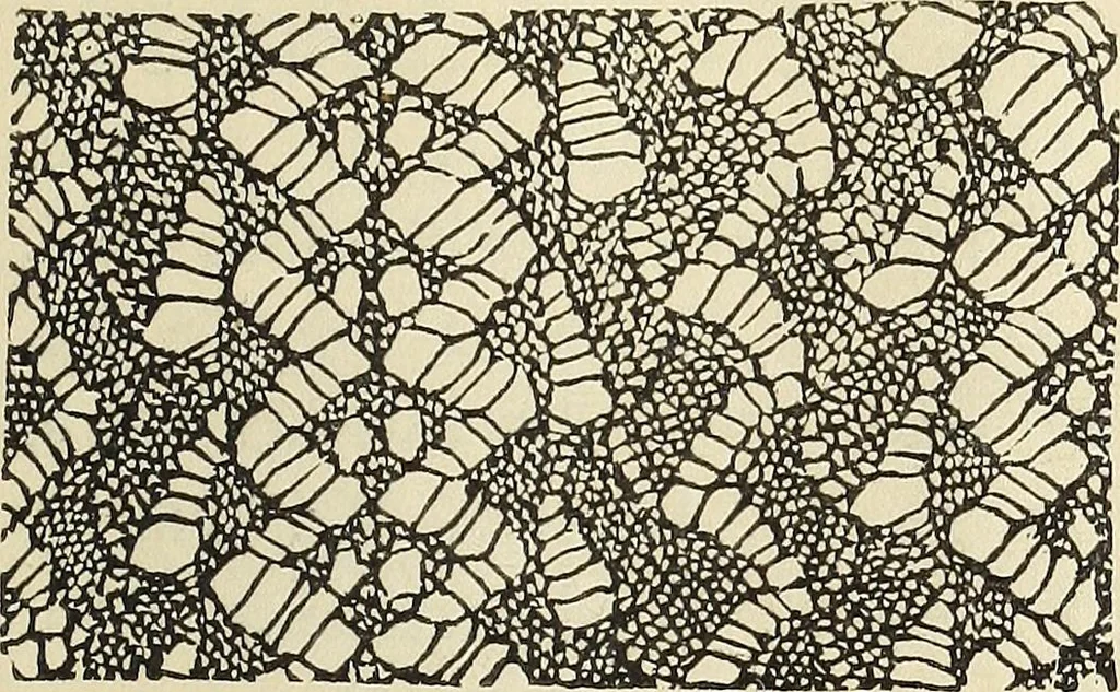 An illustration from The lady's assistant for executing useful and fancy designs in knitting, netting and crochet work..., 1847, leaf 446