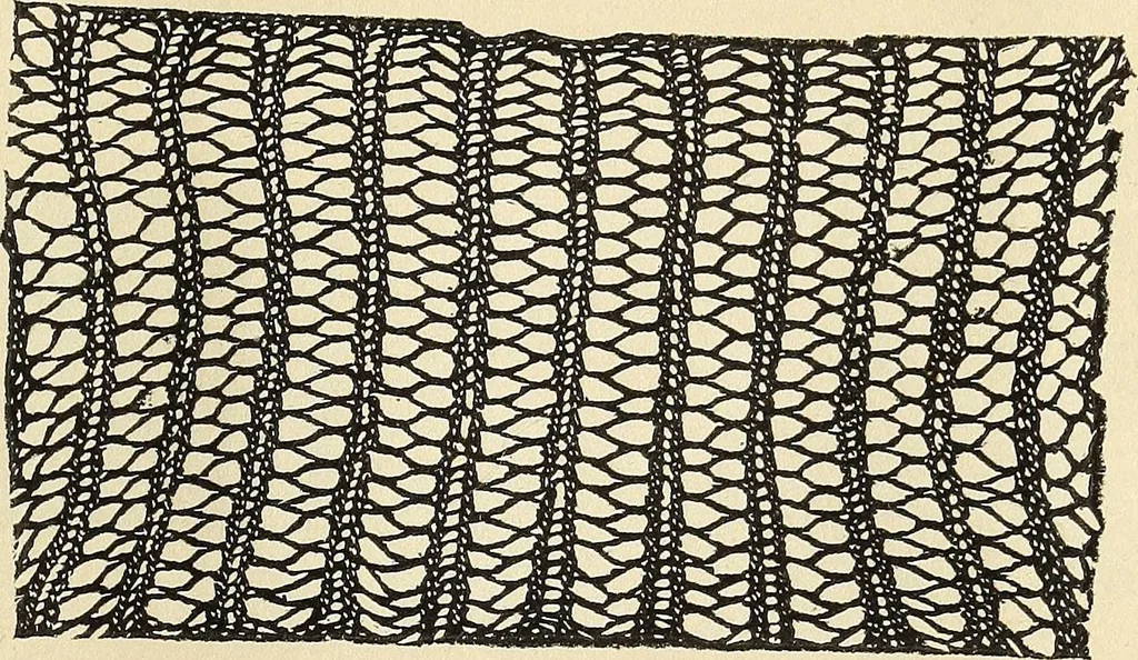 An illustration from The lady's assistant for executing useful and fancy designs in knitting, netting and crochet work..., 1847, leaf 516