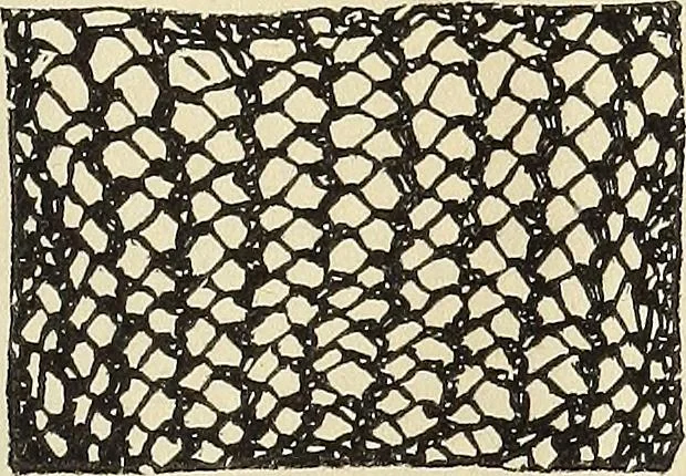 An illustration from The lady's assistant for executing useful and fancy designs in knitting, netting and crochet work..., 1847, leaf 518