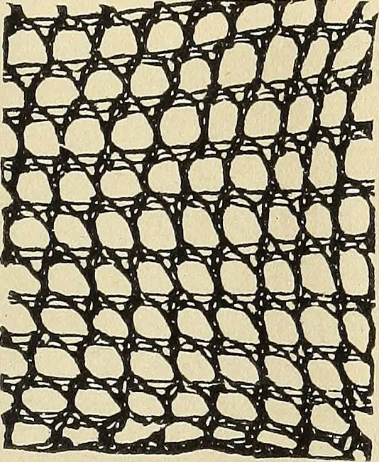 An illustration from The lady's assistant for executing useful and fancy designs in knitting, netting and crochet work..., 1847, leaf 524