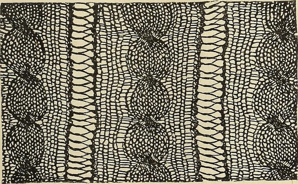 An illustration from The lady's assistant for executing useful and fancy designs in knitting, netting and crochet work..., 1847, leaf 526
