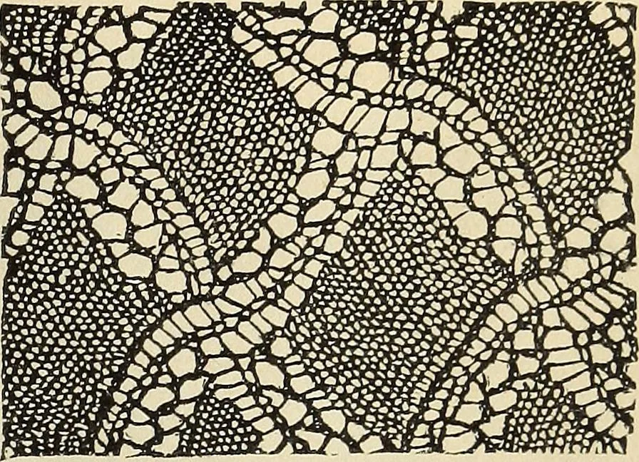 An illustration from The lady's assistant for executing useful and fancy designs in knitting, netting and crochet work..., 1847, leaf 528