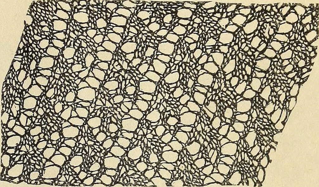 An illustration from The lady's assistant for executing useful and fancy designs in knitting, netting and crochet work..., 1847, leaf 534