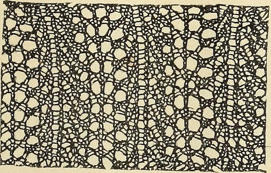 An illustration from The lady's assistant for executing useful and fancy designs in knitting, netting and crochet work..., 1847, leaf 538