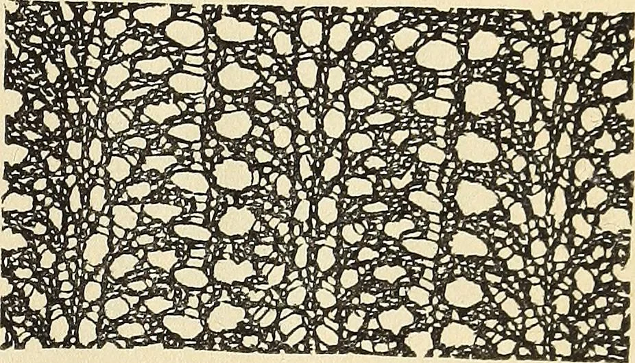 An illustration from The lady's assistant for executing useful and fancy designs in knitting, netting and crochet work..., 1847, leaf 538