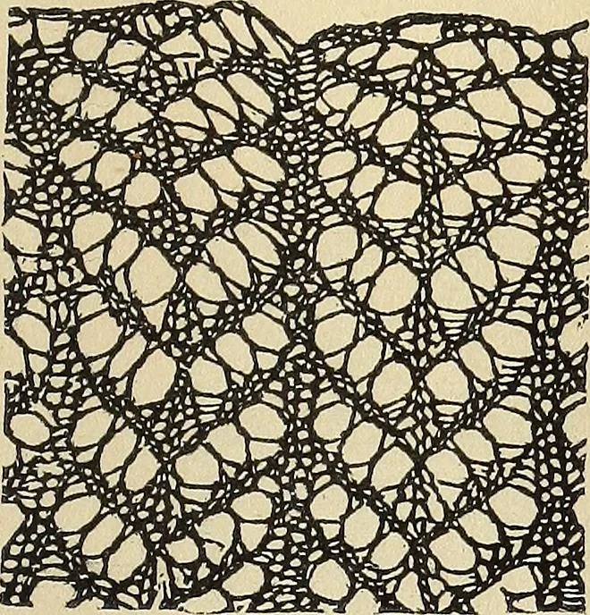 An illustration from The lady's assistant for executing useful and fancy designs in knitting, netting and crochet work..., 1847, leaf 542