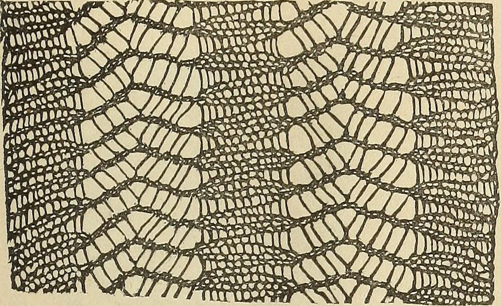 An illustration from The lady's assistant for executing useful and fancy designs in knitting, netting and crochet work..., 1847, leaf 548