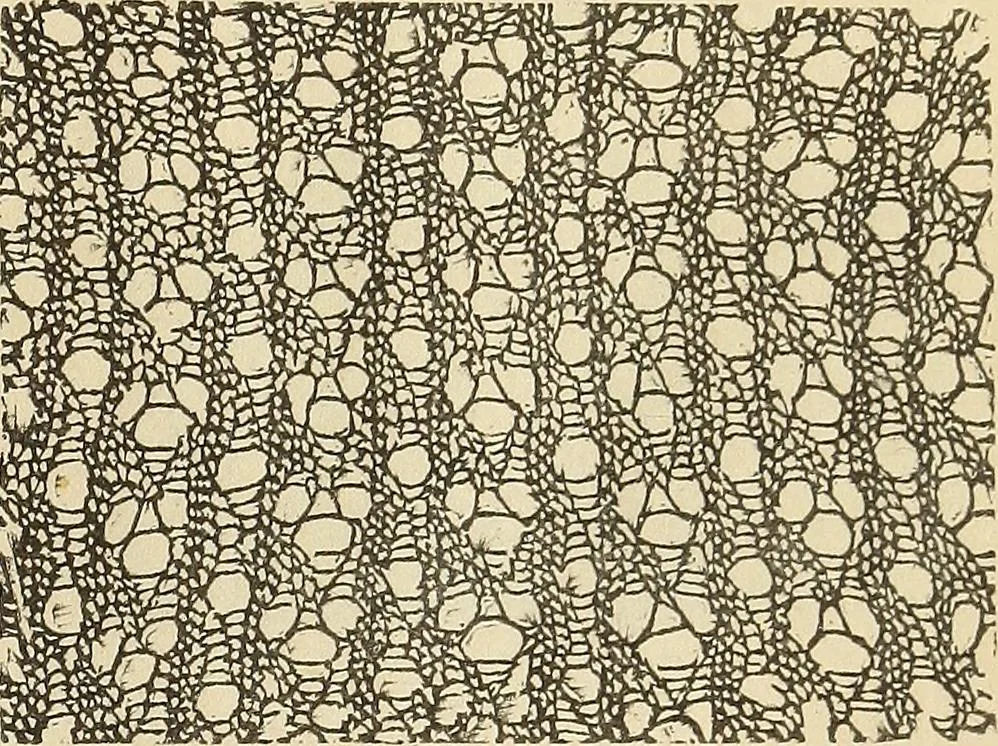 An illustration from The lady's assistant for executing useful and fancy designs in knitting, netting and crochet work..., 1847, leaf 548
