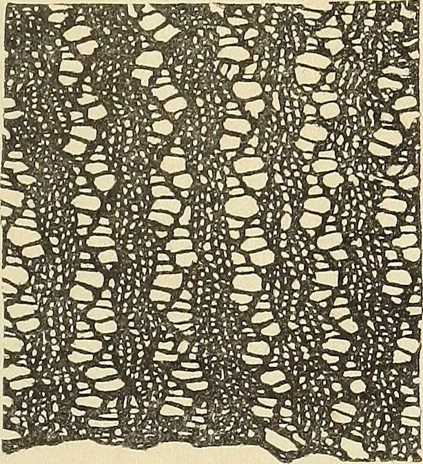 An illustration from The lady's assistant for executing useful and fancy designs in knitting, netting and crochet work..., 1847, leaf 556
