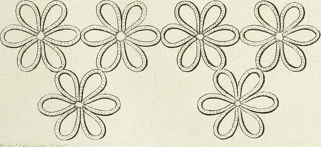 An illustration from The lady's assistant for executing useful and fancy designs in knitting, netting and crochet work..., 1847, leaf 17