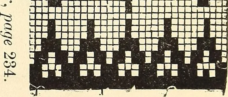 An illustration from The lady's assistant for executing useful and fancy designs in knitting, netting and crochet work..., 1847, leaf 533