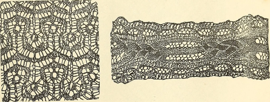 An illustration from The lady's assistant for executing useful and fancy designs in knitting, netting and crochet work..., 1847, leaf 549