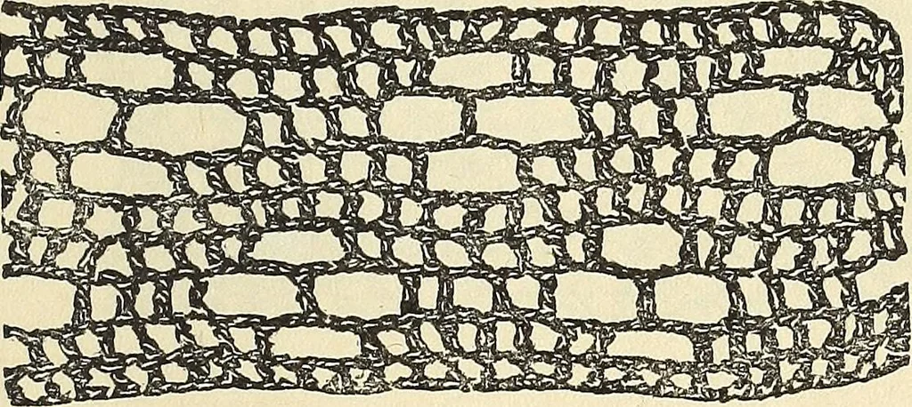 An illustration from The lady's assistant for executing useful and fancy designs in knitting, netting and crochet work..., 1847, leaf 561
