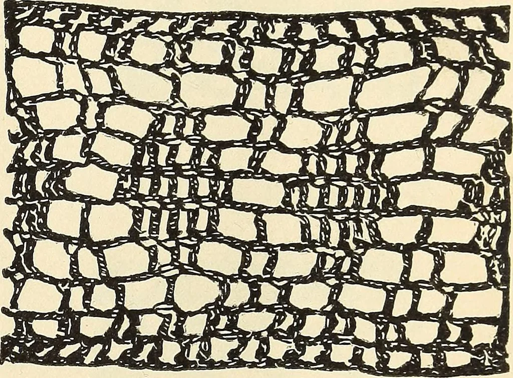 An illustration from The lady's assistant for executing useful and fancy designs in knitting, netting and crochet work..., 1847, leaf 563