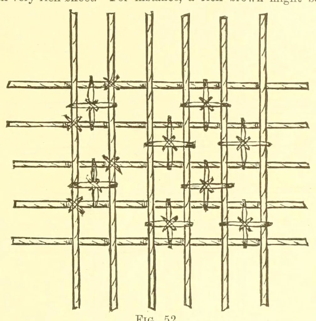 An illustration from A lady's book on art embroidery in silk, with engraved patterns, 1886, leaf 25