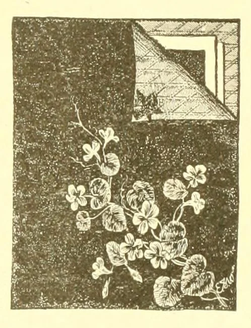 An illustration from A lady's book on art embroidery in silk, with engraved patterns, 1886, leaf 47