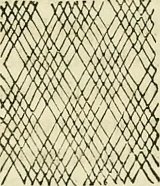 An illustration from The lady's manual of fancy-work : a complete instructor in every variety of ornamental needle-work ..., 1858, leaf 101