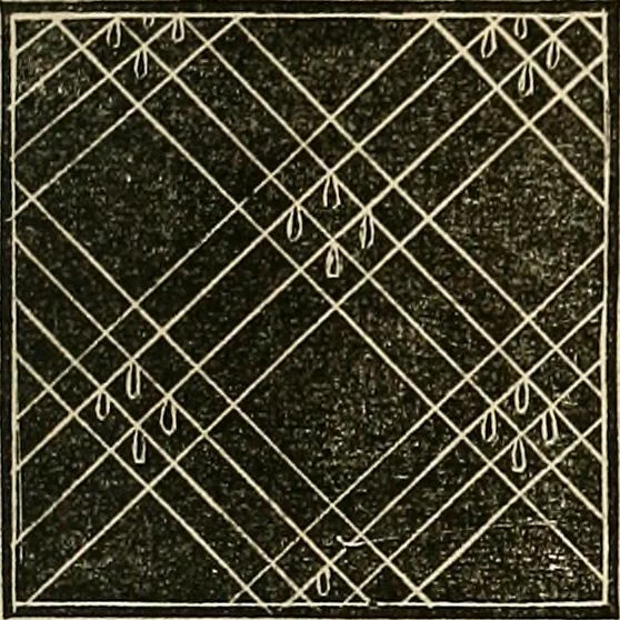 An illustration from The lady's manual of fancy-work : a complete instructor in every variety of ornamental needle-work ..., 1858, leaf 102