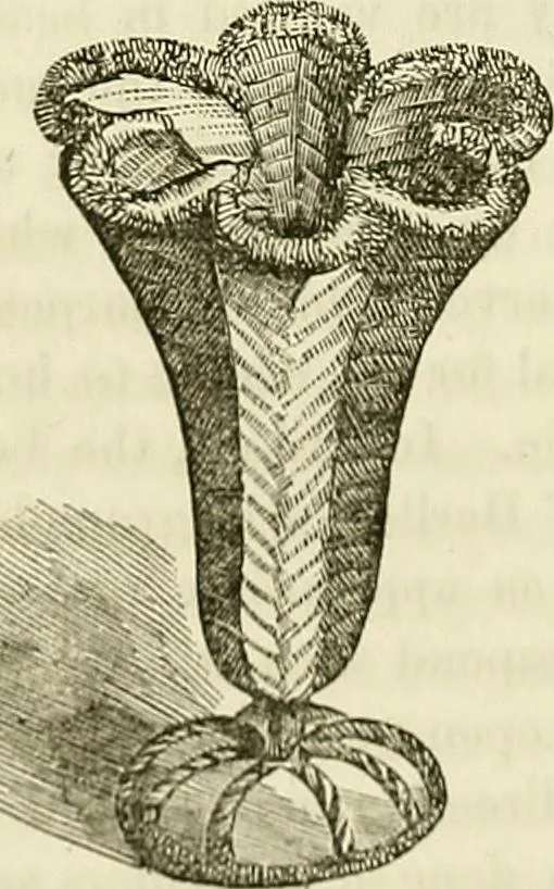 An illustration from The lady's manual of fancy-work : a complete instructor in every variety of ornamental needle-work ..., 1858, leaf 145