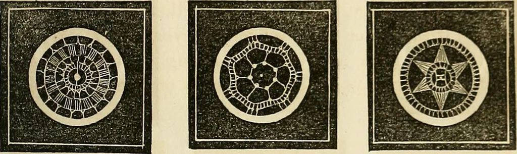 An illustration from The lady's manual of fancy-work : a complete instructor in every variety of ornamental needle-work ..., 1858, leaf 92
