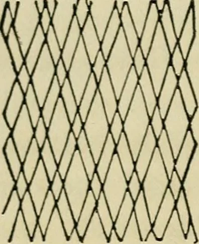An illustration from The lady's manual of fancy work : a complete instructor in every variety of ornamental needle-work : including applique..., 1859, leaf 101