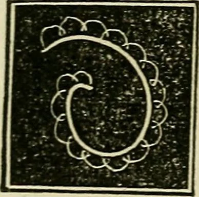 An illustration from The lady's manual of fancy work : a complete instructor in every variety of ornamental needle-work : including applique..., 1859, leaf 117
