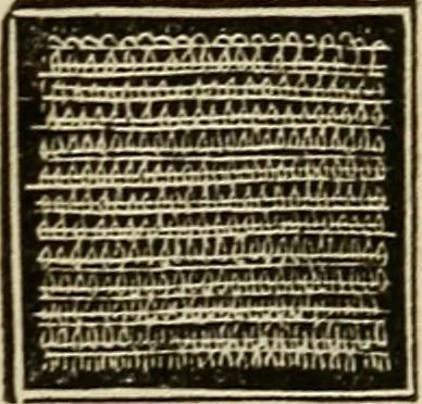 An illustration from The lady's manual of fancy work : a complete instructor in every variety of ornamental needle-work : including applique..., 1859, leaf 118