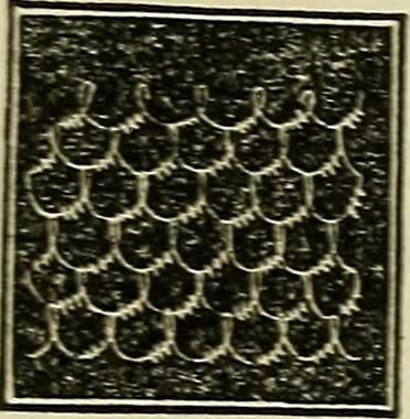 An illustration from The lady's manual of fancy work : a complete instructor in every variety of ornamental needle-work : including applique..., 1859, leaf 119
