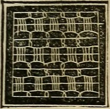 An illustration from The lady's manual of fancy work : a complete instructor in every variety of ornamental needle-work : including applique..., 1859, leaf 126