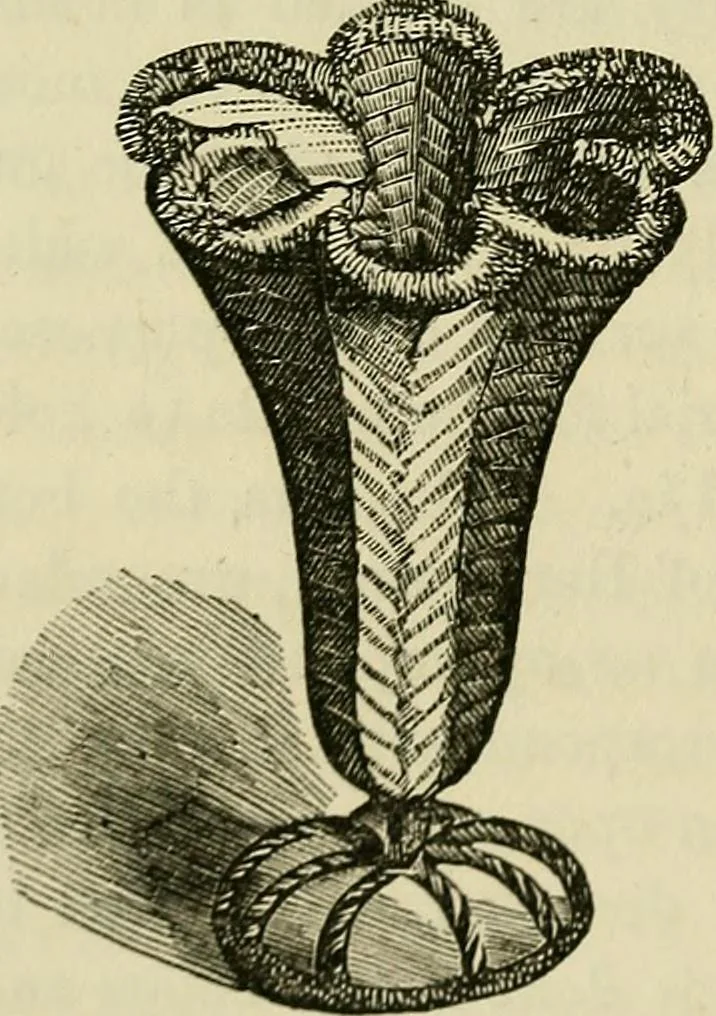 An illustration from The lady's manual of fancy work : a complete instructor in every variety of ornamental needle-work : including applique..., 1859, leaf 145