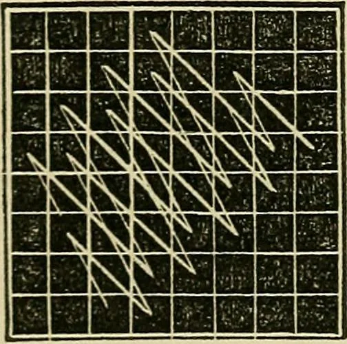 An illustration from The lady's manual of fancy work : a complete instructor in every variety of ornamental needle-work : including applique..., 1859, leaf 35